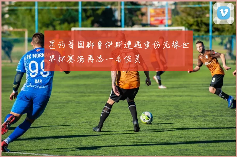 墨西哥国脚鲁伊斯遭遇重伤无缘世界杯赛场再添一名伤员