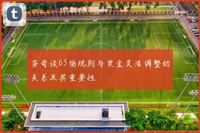 芬奇谈65场规则与奖金灵活调整的关系及其重要性